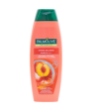Picture of Palmolive Naturals Hydra Balance 2in1 Shampoo 350ml